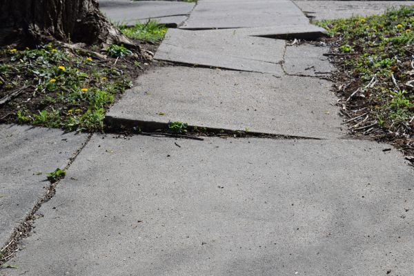 Cost of Concrete Sidewalk Leveling in Longwood