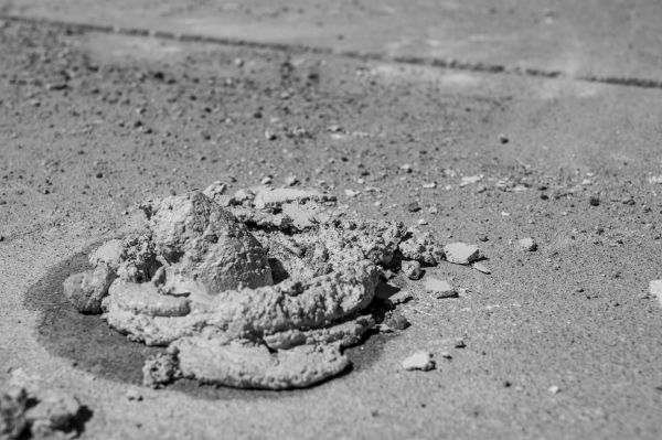 Concrete Slabjacking in Longwood